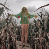 Haunted Hill Farm HHCLOWN-15FLSA - 5